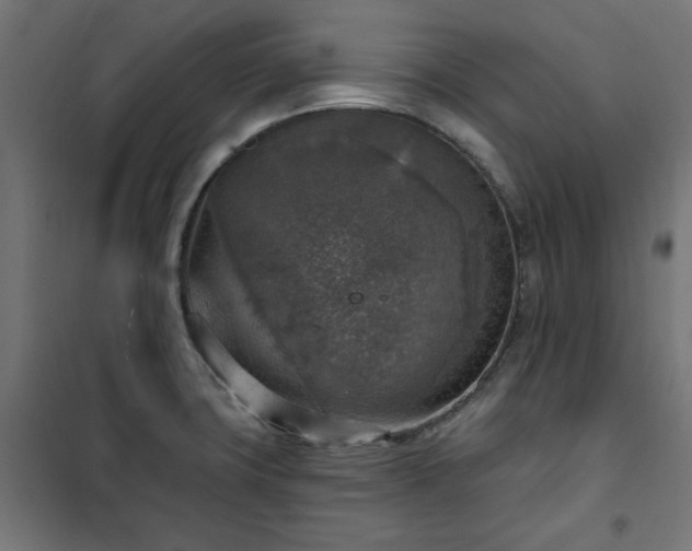 X0000101151427200807071139