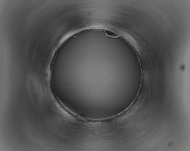 X0000101151428200807071139