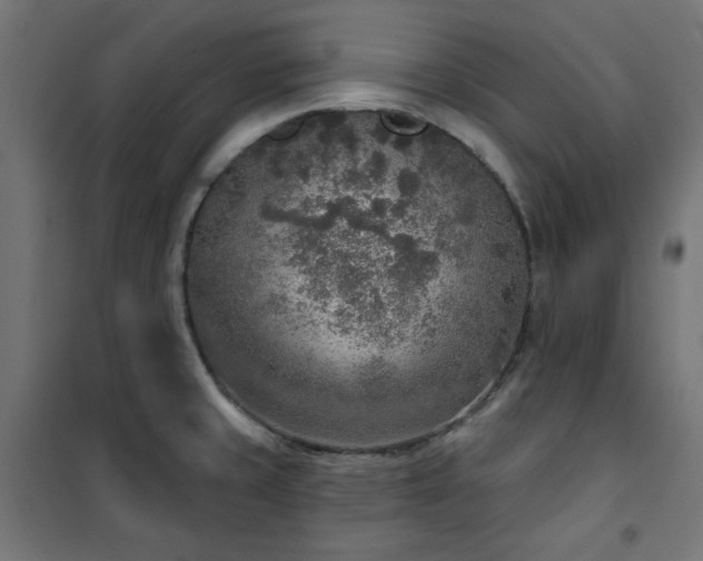 X0000101151429200807071139