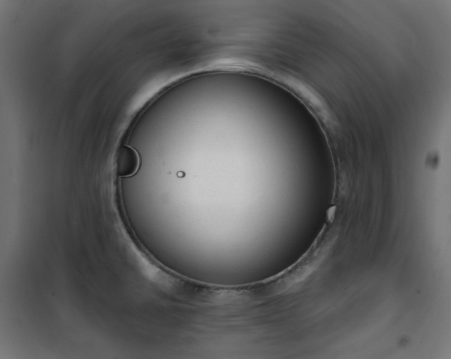 X0000101151430200807071139