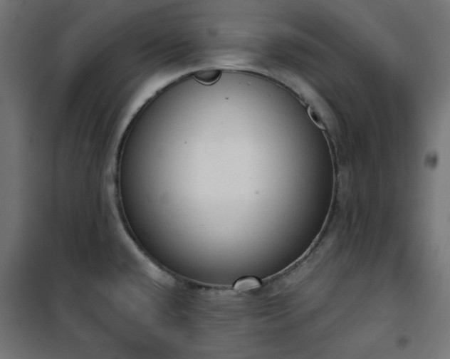 X0000101151432200807071139