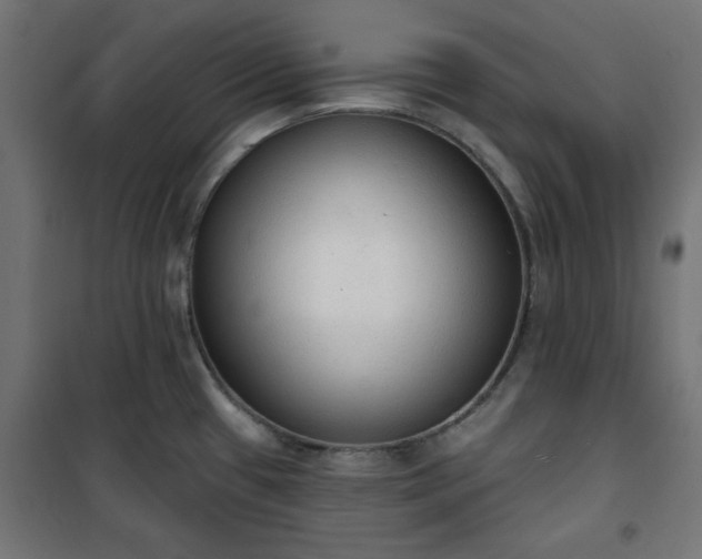 X0000101151433200807071139