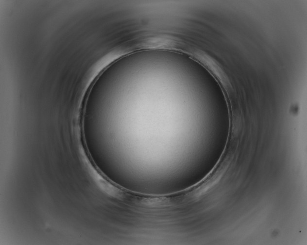 X0000101151434200807071139