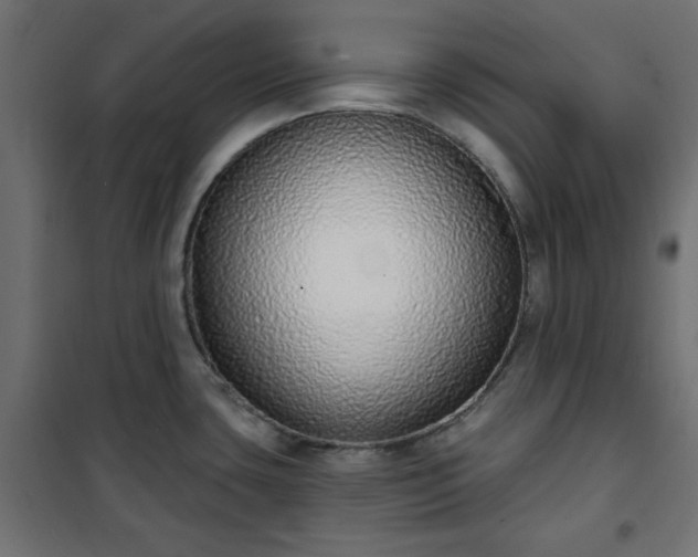 X0000101151435200807071139