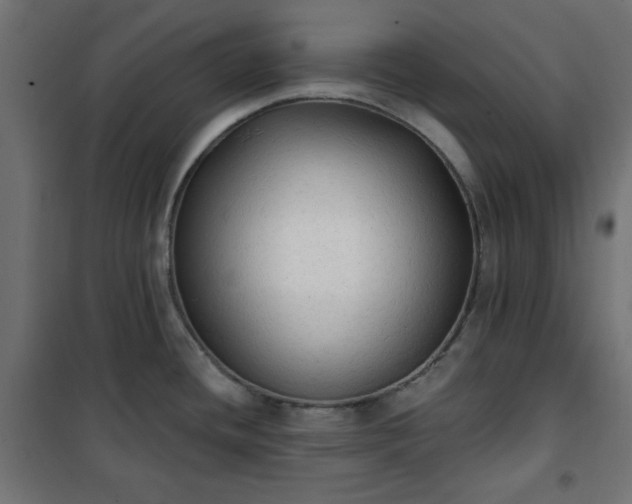 X0000101151436200807071139