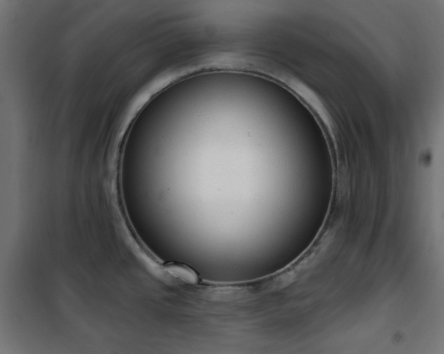 X0000101151437200807071139