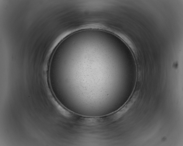 X0000101151438200807071139