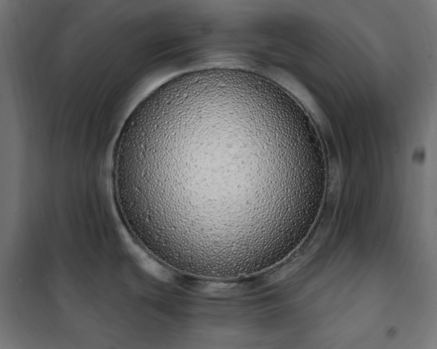 X0000101151439200807071139