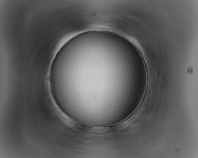 X0000101151440200807071139