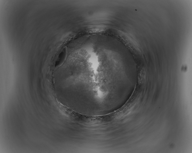 X0000101151441200807071138