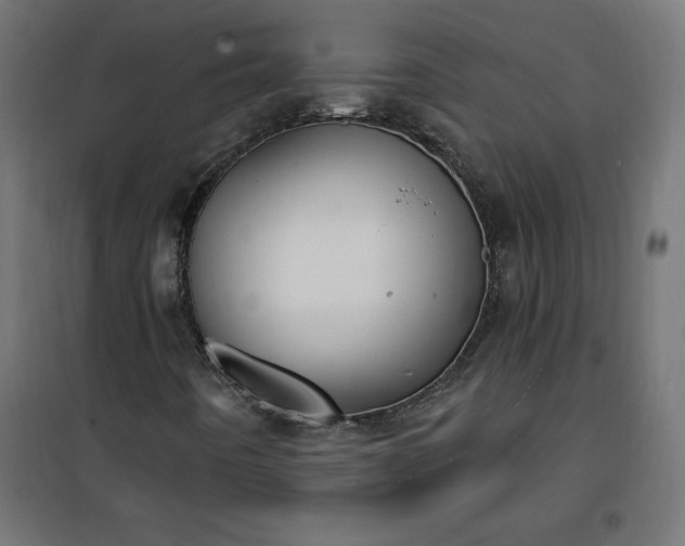 X0000101151442200807071138