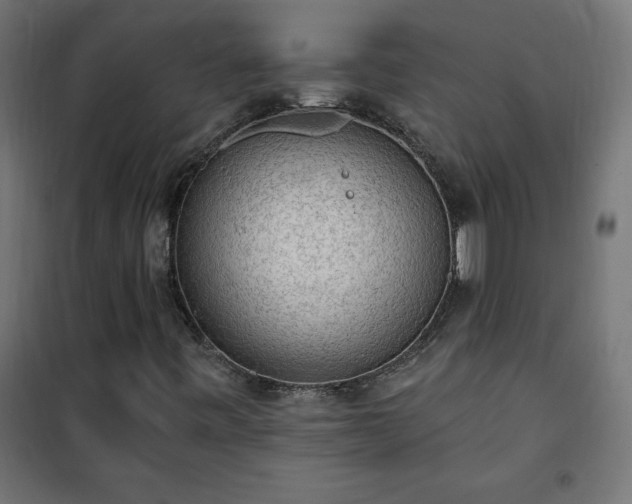 X0000101151443200807071138