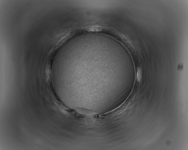 X0000101151444200807071138