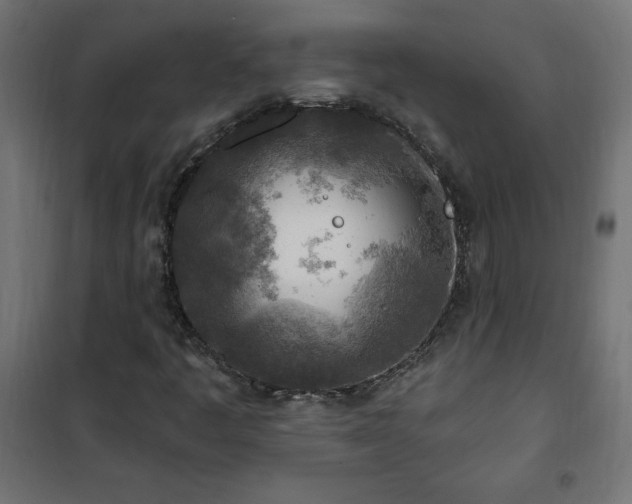 X0000101151445200807071138