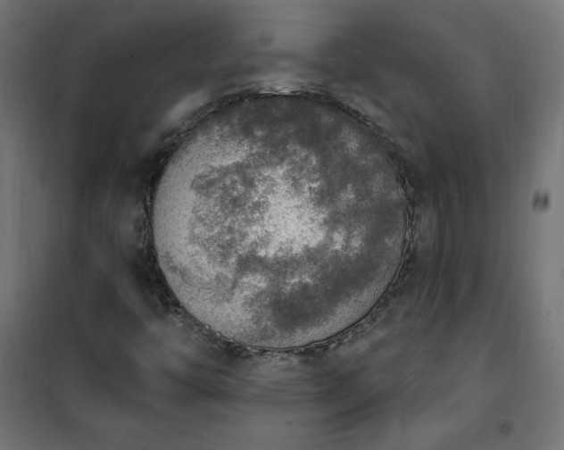 X0000101151446200807071138