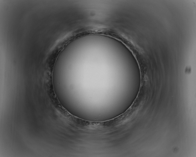 X0000101151447200807071138