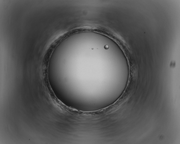 X0000101151448200807071138