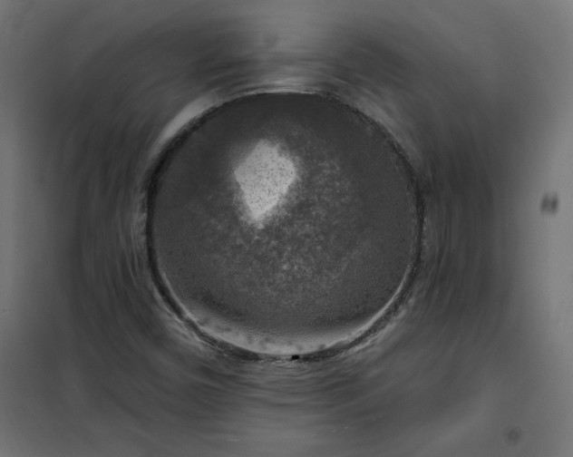 X0000101151450200807071138