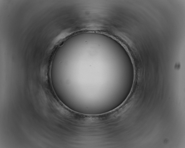 X0000101151451200807071138