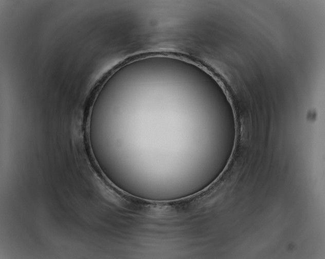 X0000101151452200807071138