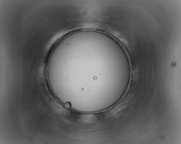 X0000101151454200807071138