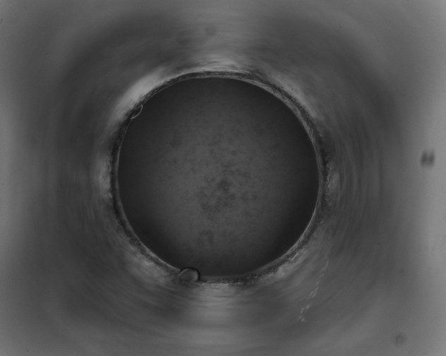 X0000101151455200807071138