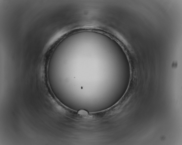 X0000101151456200807071138