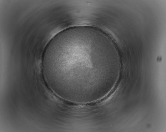 X0000101151457200807071138