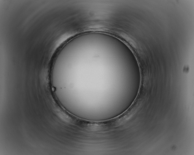 X0000101151458200807071138