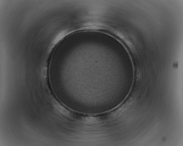 X0000101151459200807071138