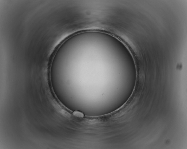 X0000101151460200807071138