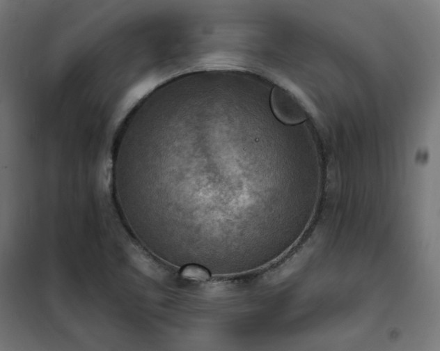 X0000101151461200807071138