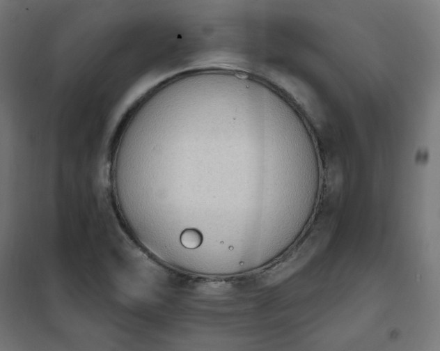 X0000101151462200807071138