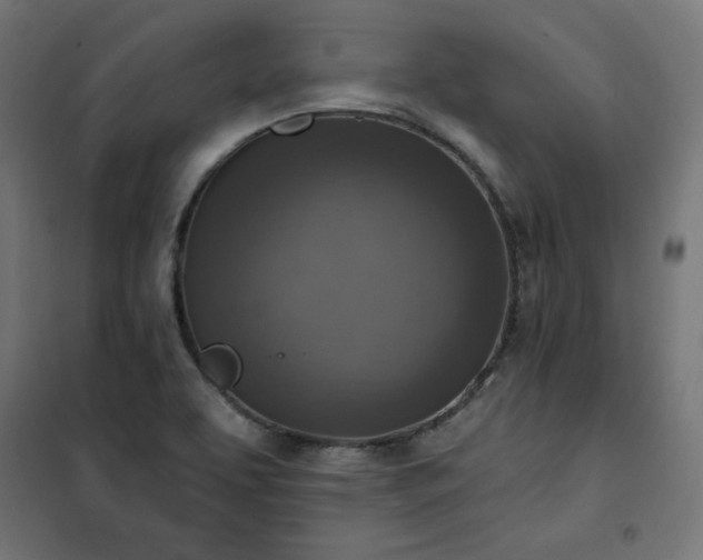 X0000101151463200807071138