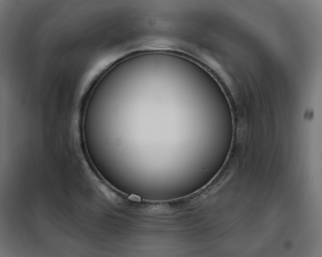 X0000101151464200807071138