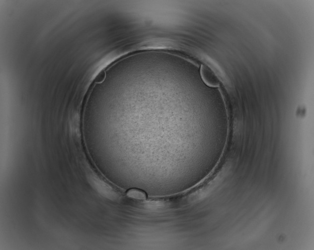 X0000101151465200807071138