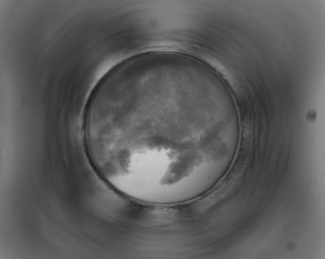 X0000101151466200807071138