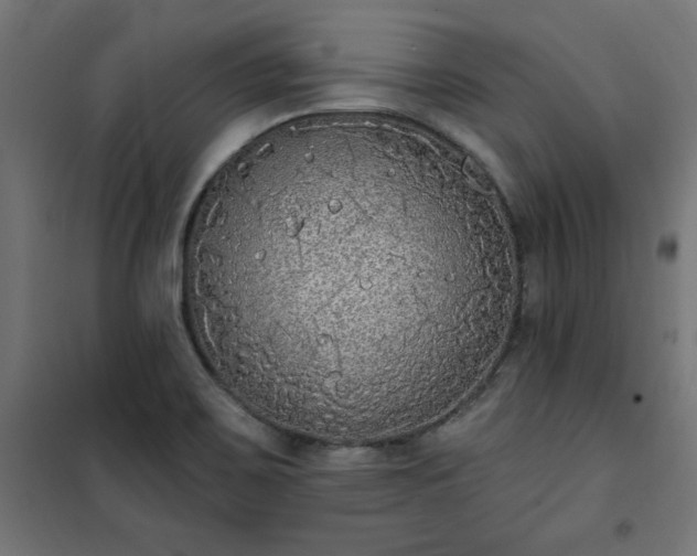 X0000101151467200807071138