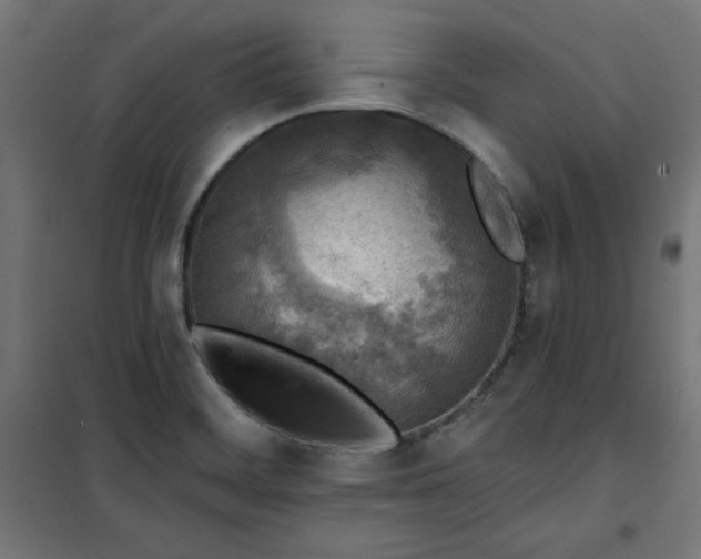 X0000101151468200807071138