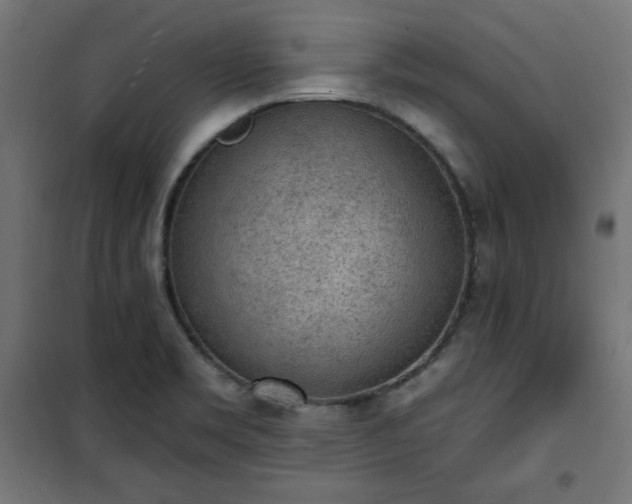 X0000101151469200807071138