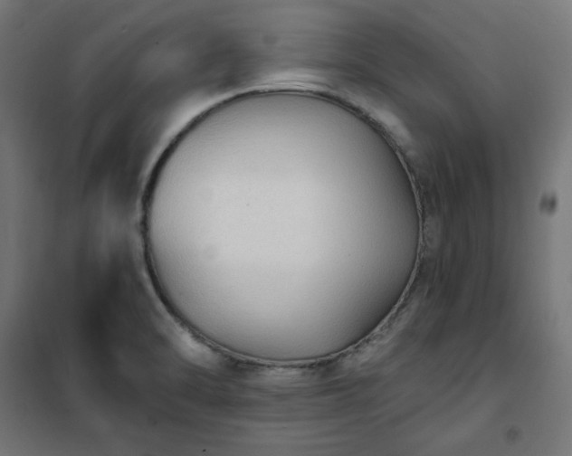 X0000101151470200807071138