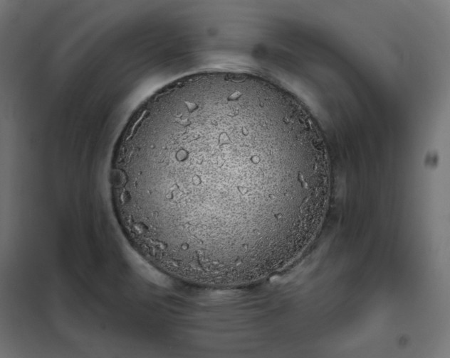 X0000101151471200807071138