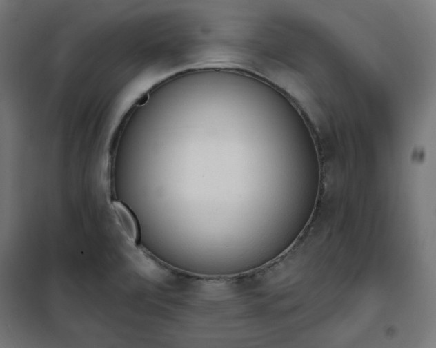 X0000101151472200807071138