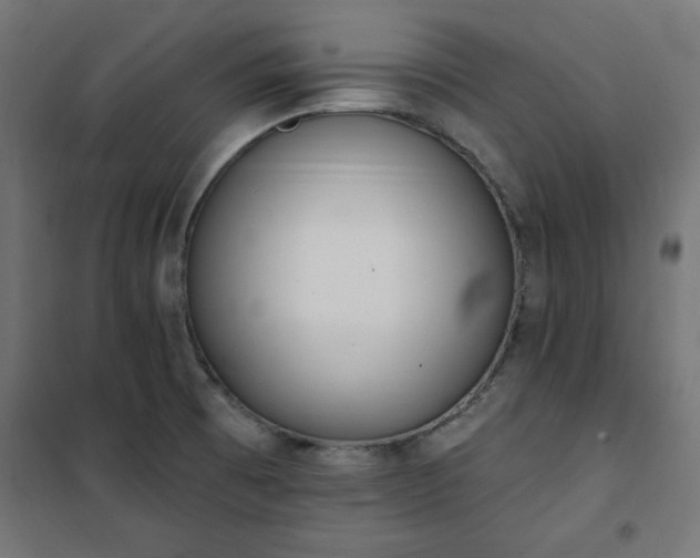 X0000101151473200807071138