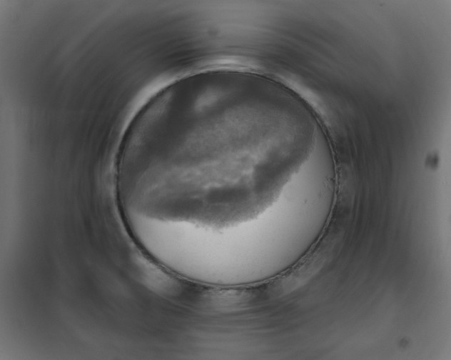 X0000101151474200807071138