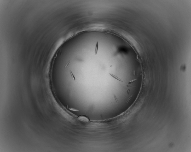X0000101151475200807071138