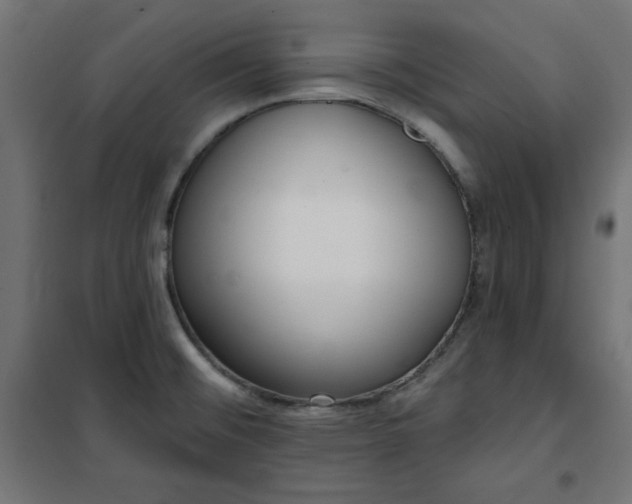 X0000101151476200807071138