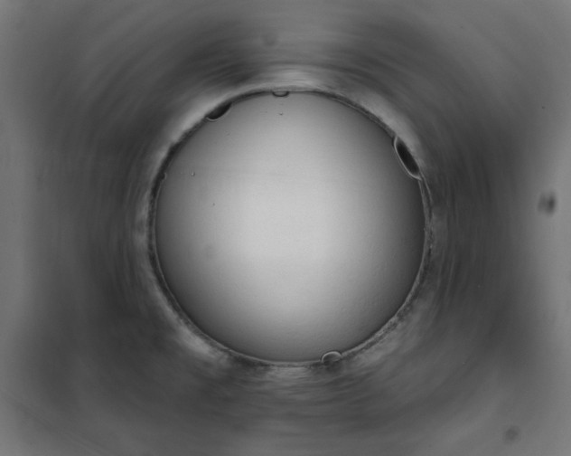 X0000101151477200807071138