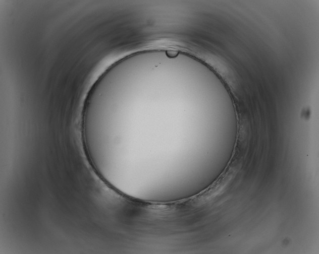 X0000101151478200807071138