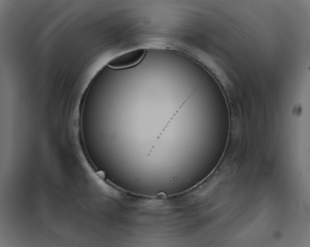 X0000101151479200807071138